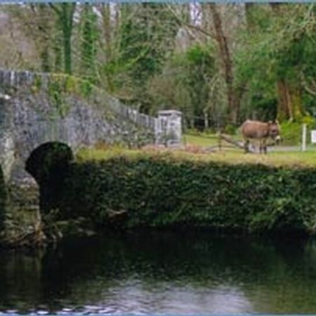 Hillcrest Farmhouse Hotel Laune Bridge Eksteriør billede